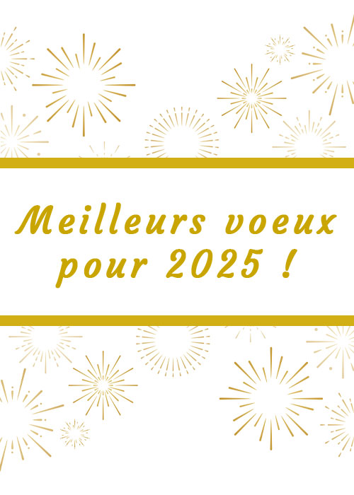 Lire la suite à propos de l’article Bonne année 2025 !