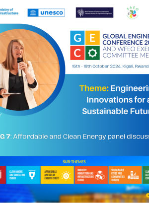 SDG 7 Affordable and Clean Energy panel discussion (8)